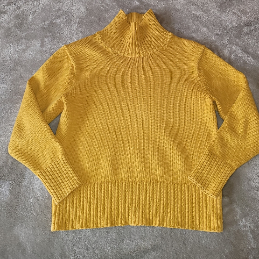Ann Taylor turtleneck